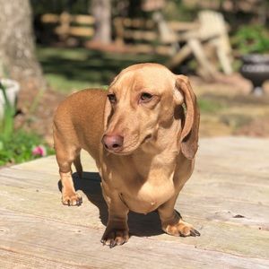 Meet your Posher, Jana